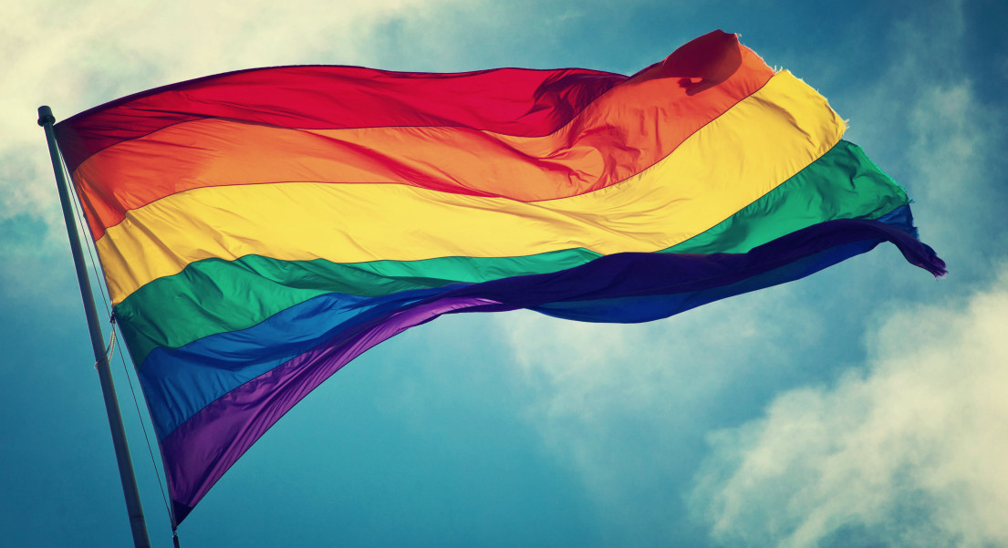 Nota de repúdio ao candidato à presidência da República Levy Fidelix sobre suas declarações homofóbicas