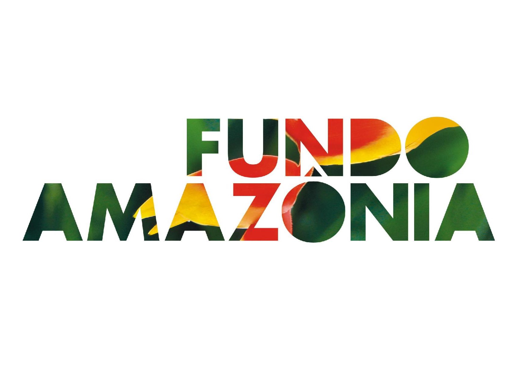 Em defesa do BNDES e do Fundo da Amazônia