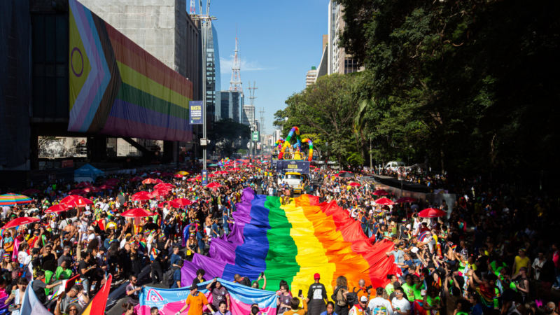 Parada LGBT+ com o tema: A rua convoca, a urna confirma!